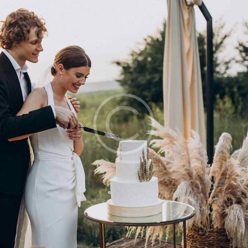 Exceptional wedding venues: couple’s giude